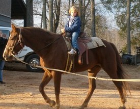 Riding   lesson